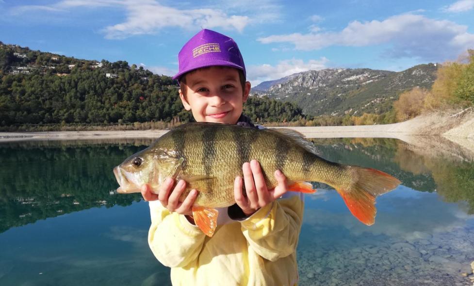 Agrandir l'image, fenêtre modale