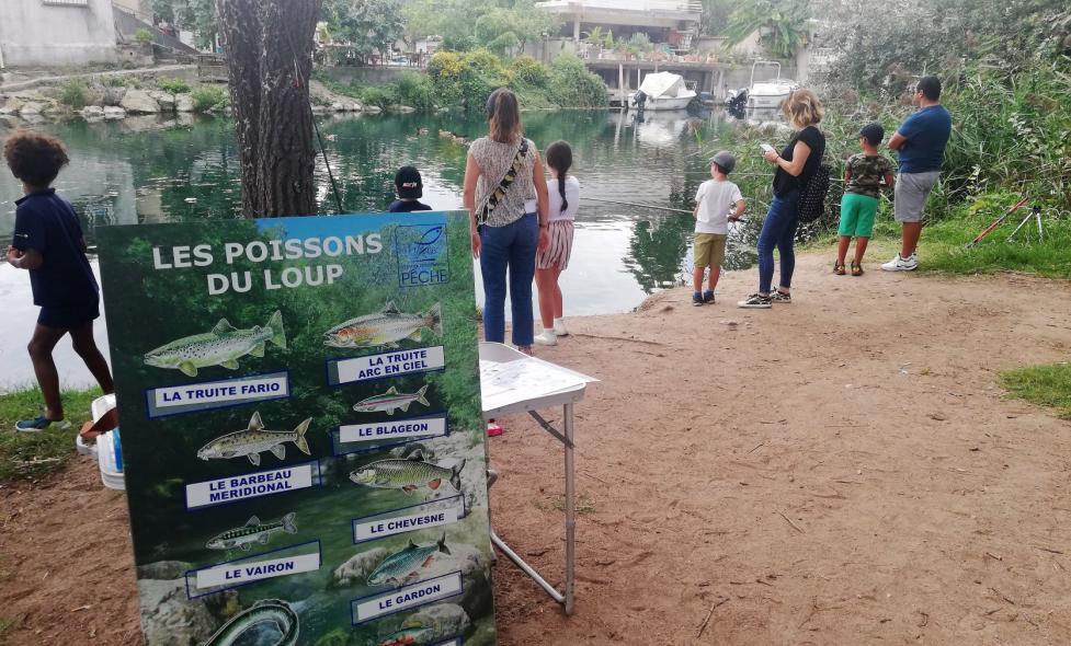 Agrandir l'image, fenêtre modale