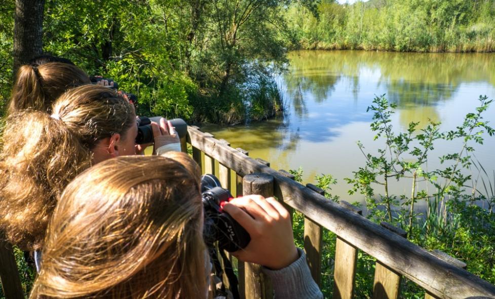 Agrandir l'image, fenêtre modale