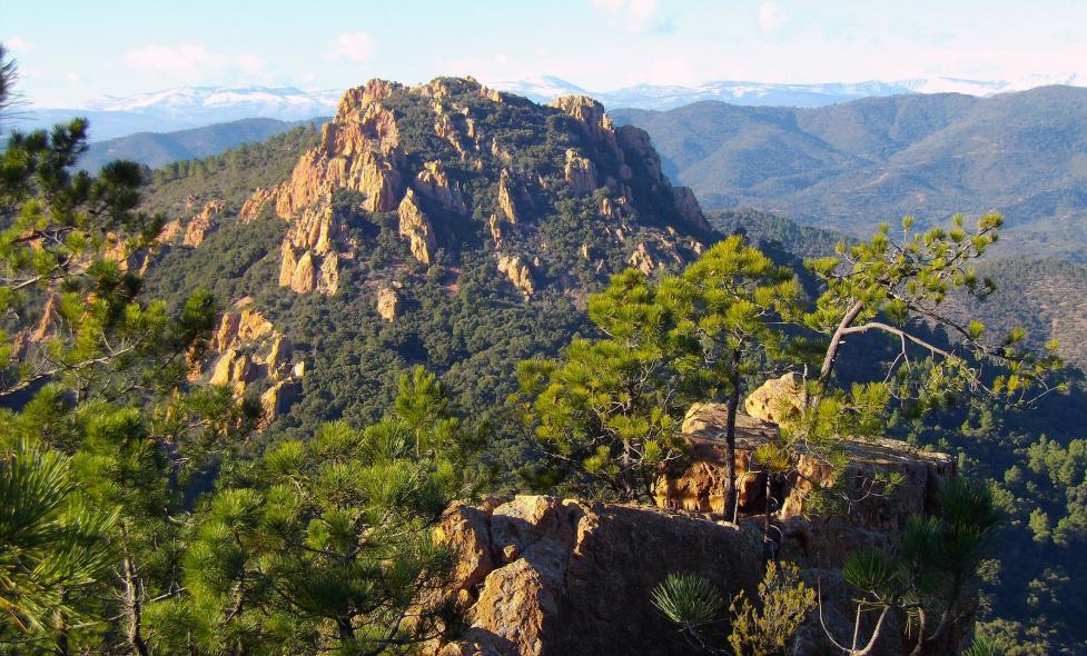 Agrandir l'image, fenêtre modale