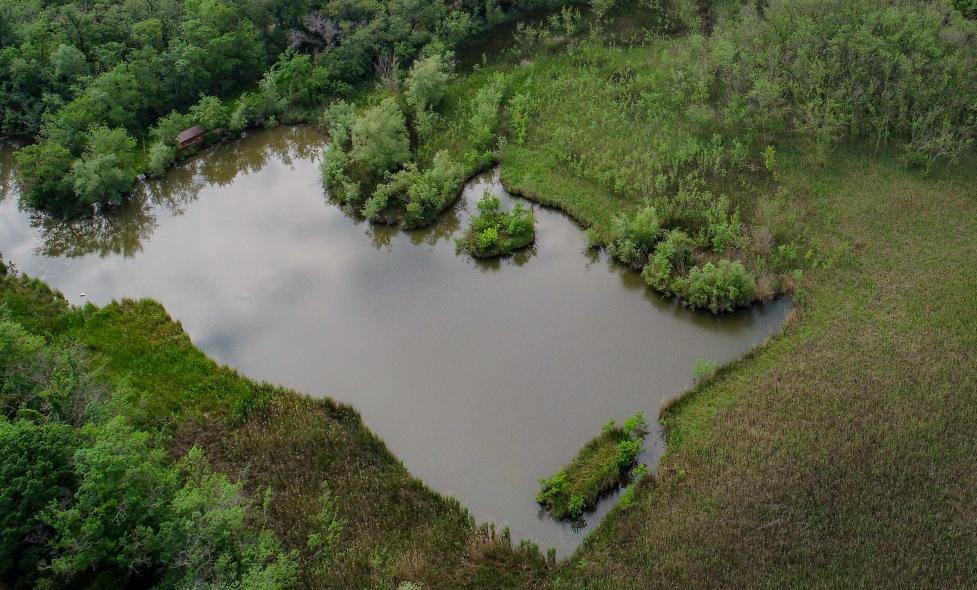 Zones humides - Vaugrenier - Agrandir l'image, fenêtre modale