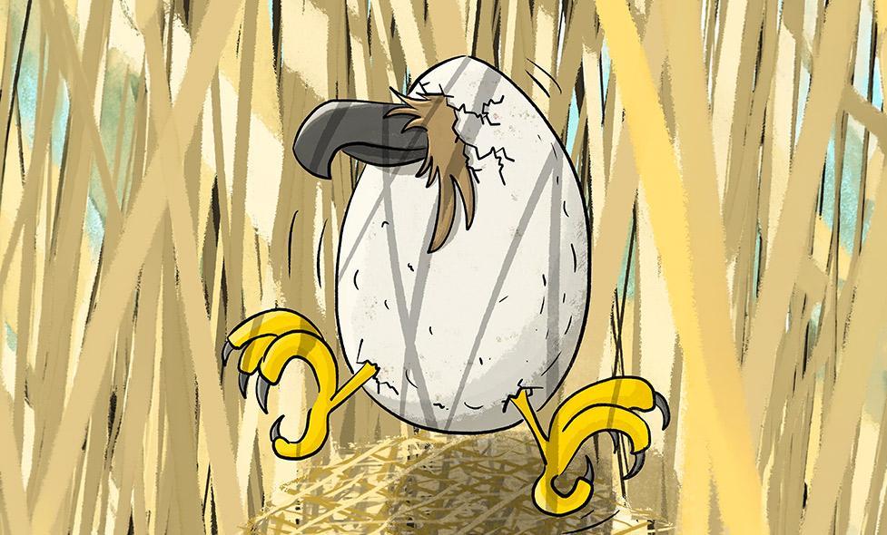 Oeufs - Rives du Loup - Agrandir l'image, fenêtre modale