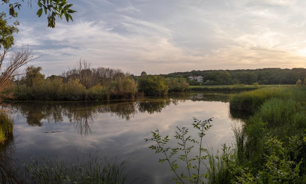 Balade - Vaugrenier - Agrandir l'image, fenêtre modale