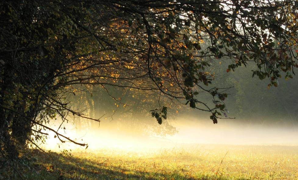 Indices - Vaugrenier - Agrandir l'image, fenêtre modale