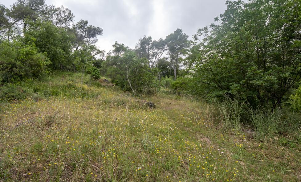 Balade - Sinodon - Agrandir l'image, fenêtre modale