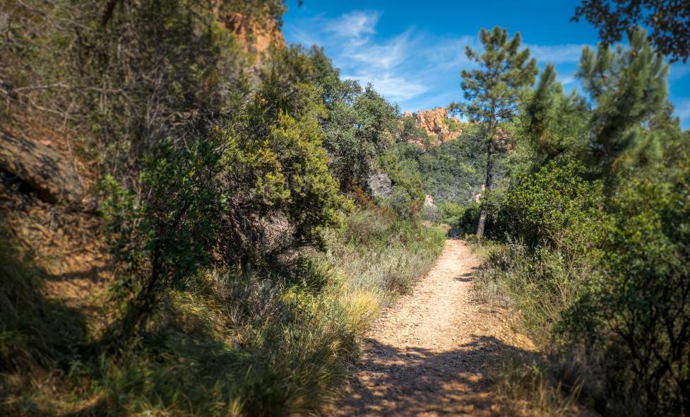 Balade - Estérel - Agrandir l'image, fenêtre modale