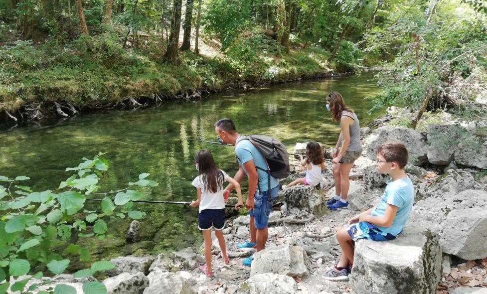 Pêche - Loup - Agrandir l'image, fenêtre modale