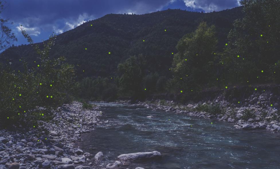 Soirée nature - Estéron - Agrandir l'image, fenêtre modale