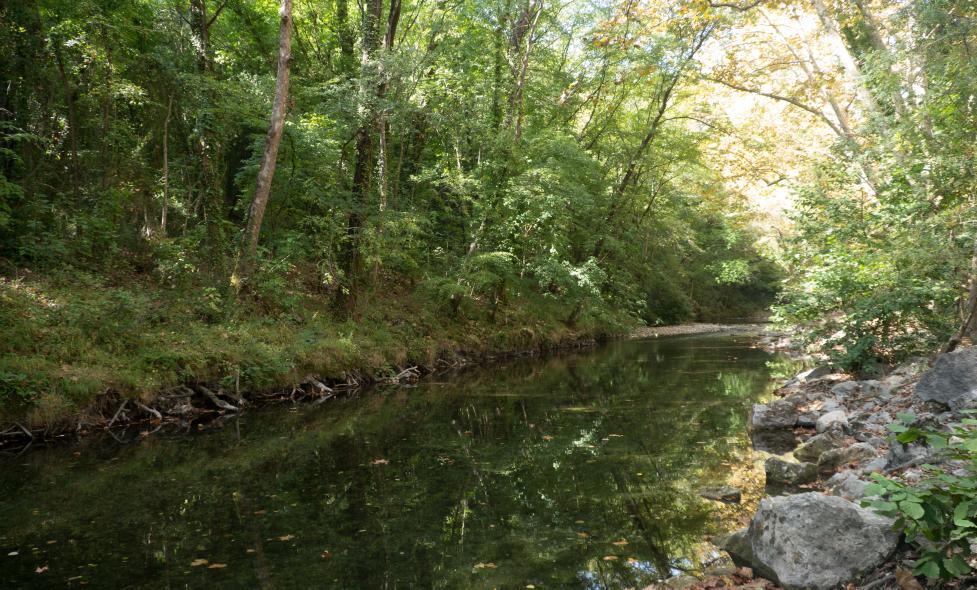 Jeu de piste - Loup - Agrandir l'image, fenêtre modale