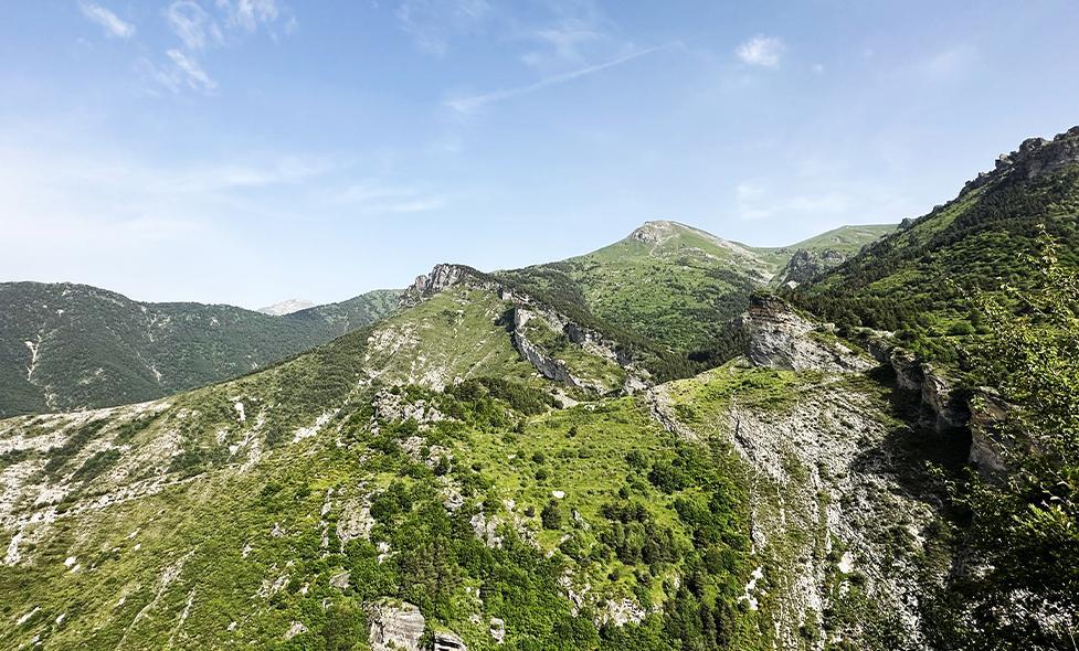 Enlarge image, modal window