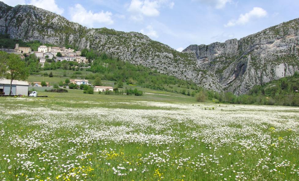 ARPILLE - Agrandir l'image, fenêtre modale