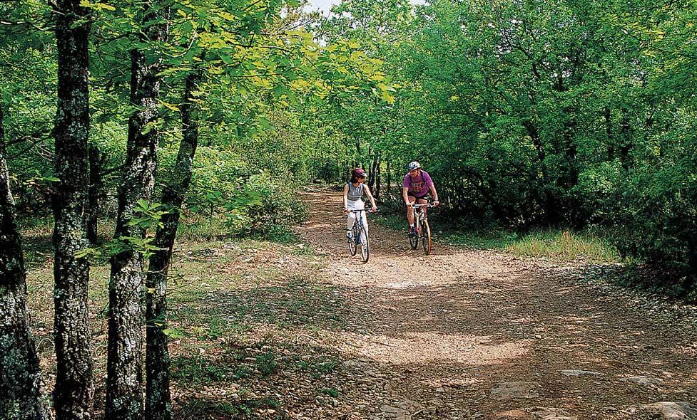 Enlarge image, modal window