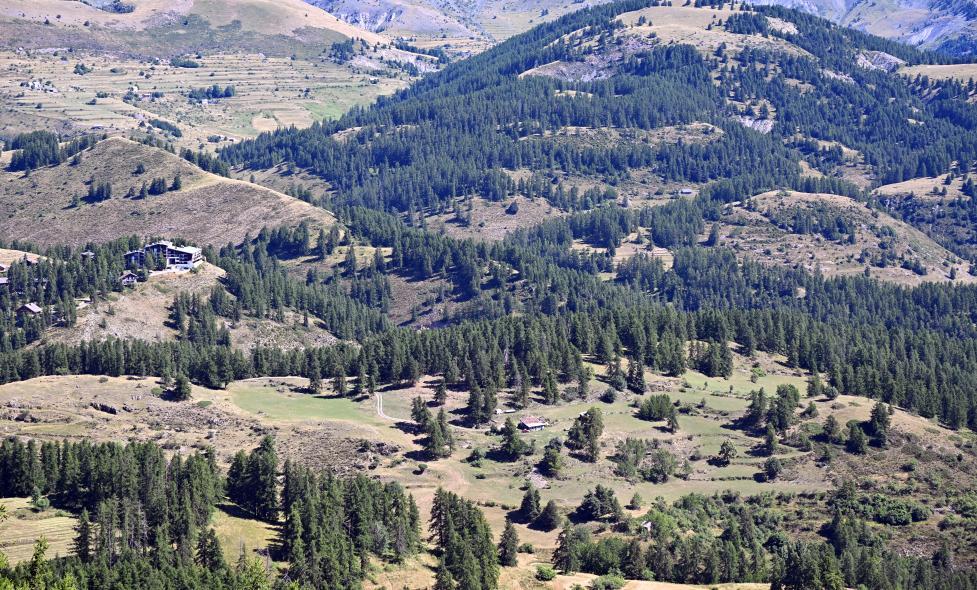 Agrandir l'image, fenêtre modale