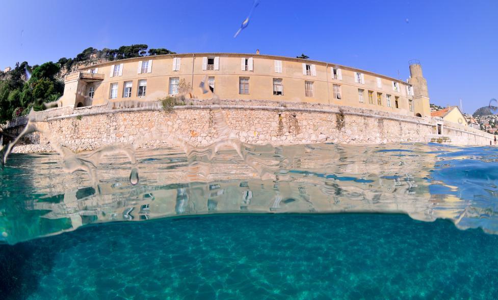 Agrandir l'image, fenêtre modale