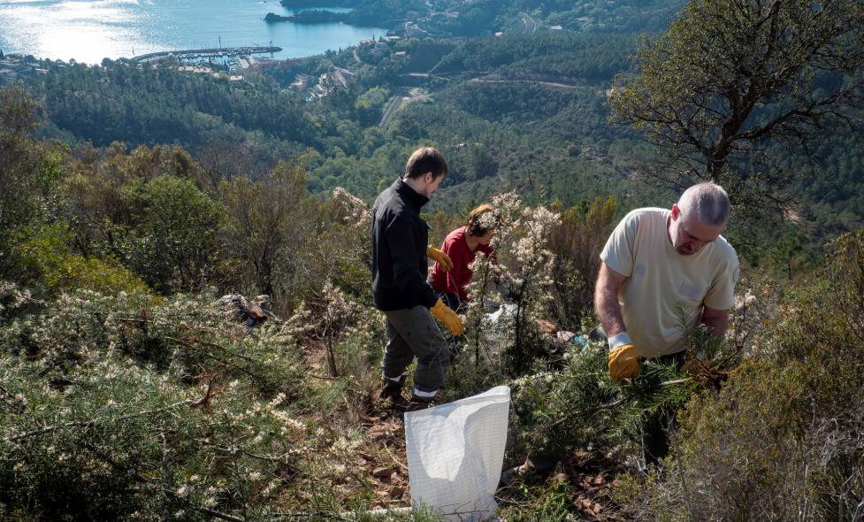 Agrandir l'image, fenêtre modale