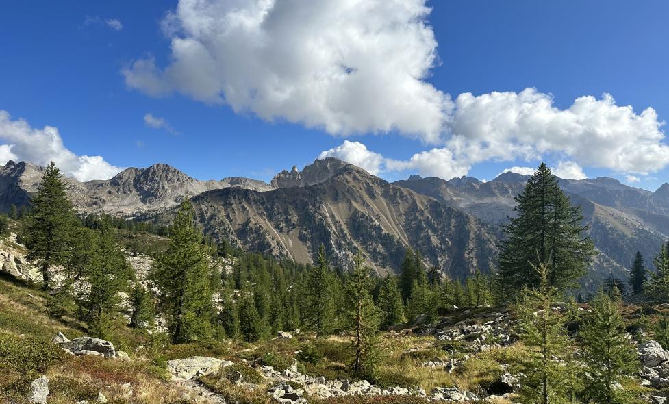 Agrandir l'image, fenêtre modale