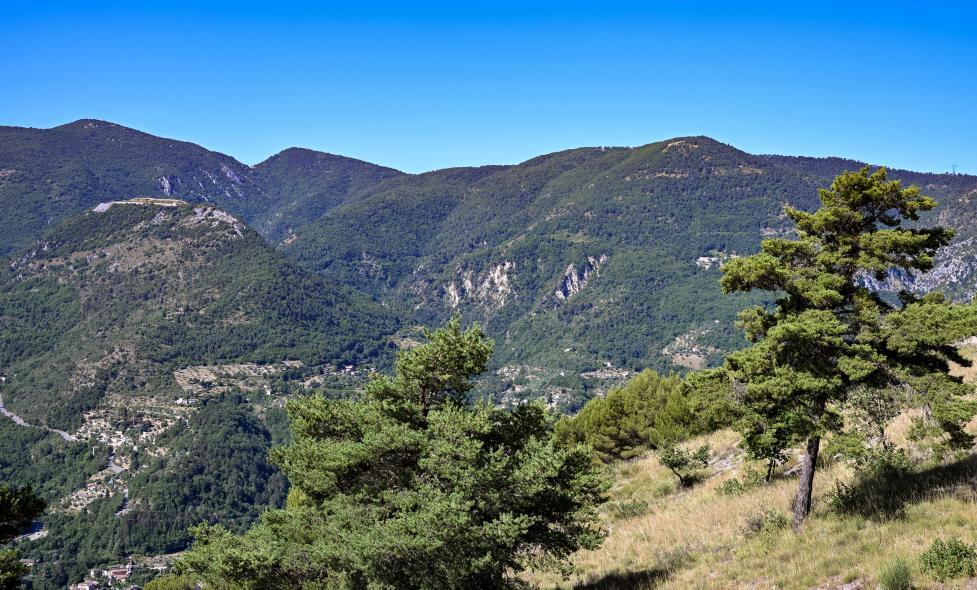 Agrandir l'image, fenêtre modale