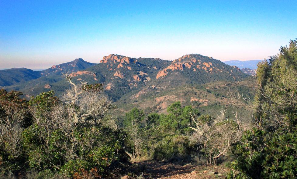 Agrandir l'image, fenêtre modale