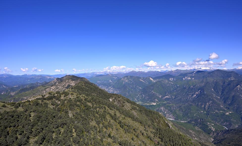 Agrandir l'image, fenêtre modale