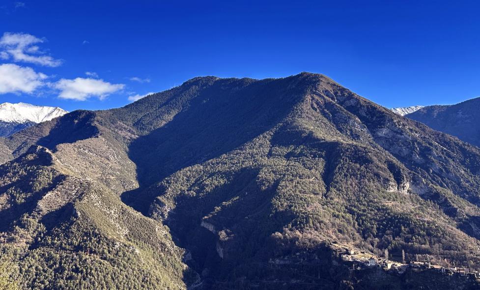 Agrandir l'image, fenêtre modale