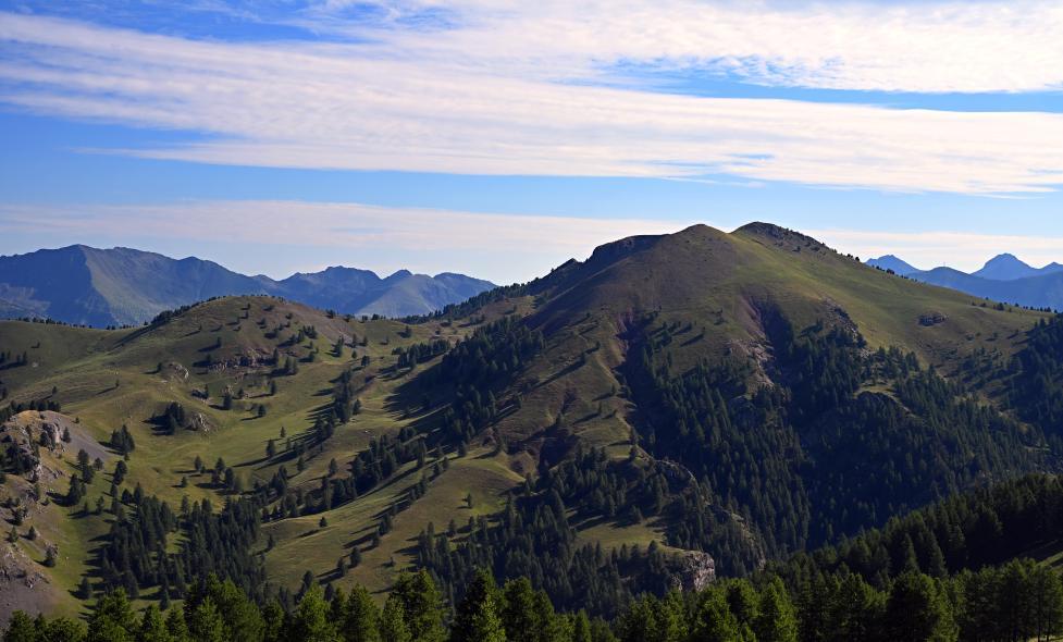 Agrandir l'image, fenêtre modale