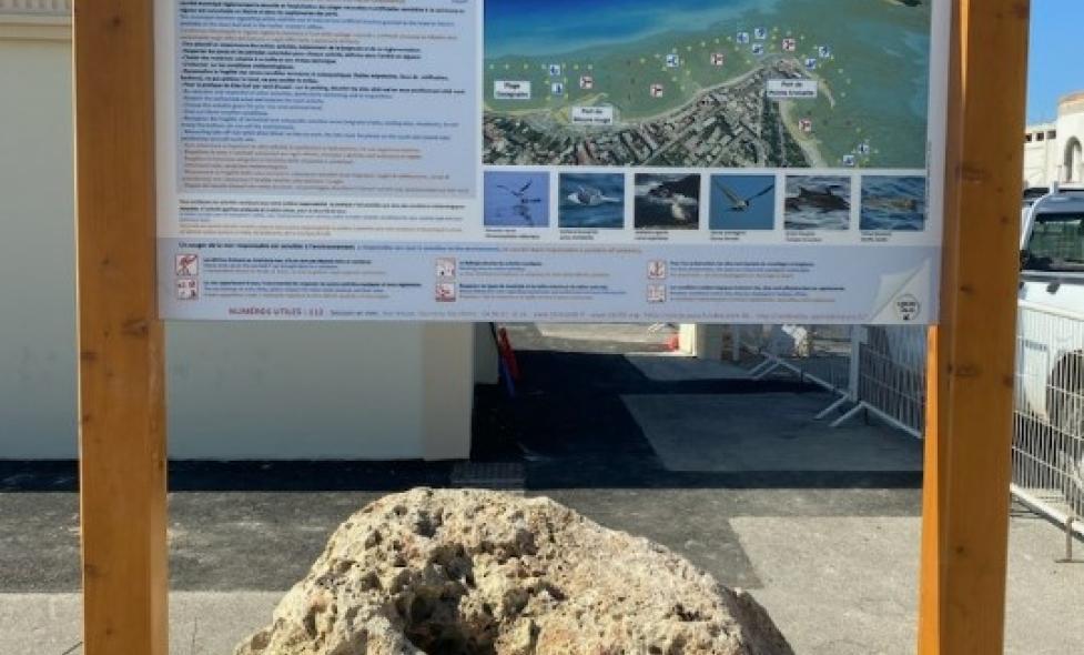 Agrandir l'image, fenêtre modale