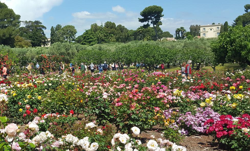 Agrandir l'image, fenêtre modale