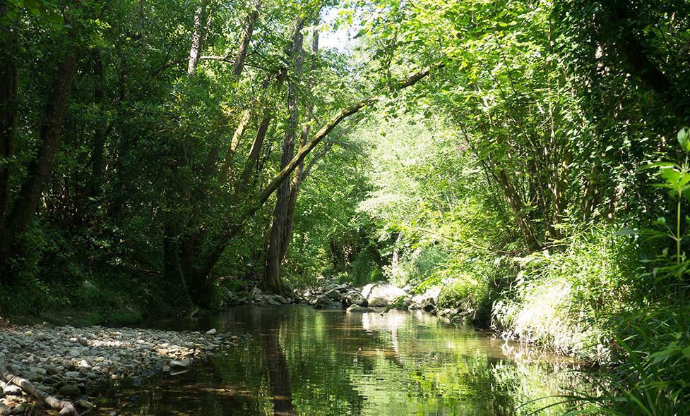 Parc de la Brague - Agrandir l'image, fenêtre modale