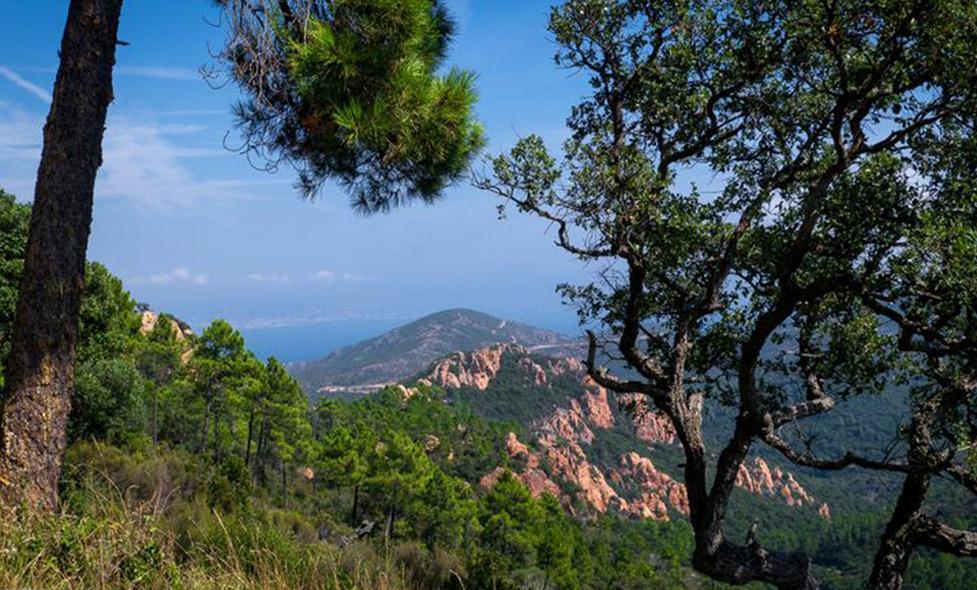 Parc de l'Estérel - Agrandir l'image, fenêtre modale