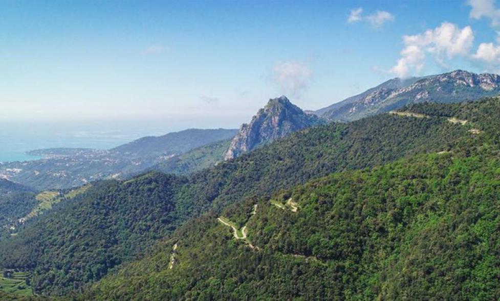 Parc de l'Ubac Foran - Agrandir l'image, fenêtre modale