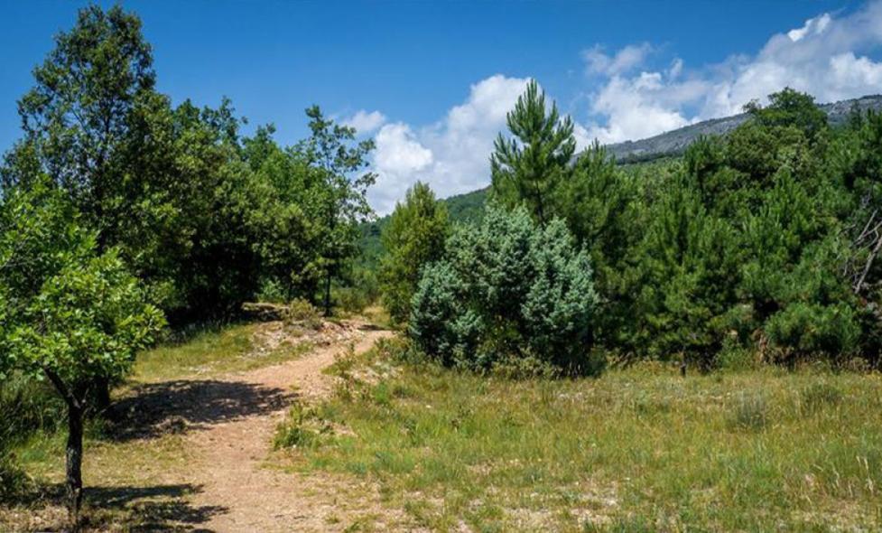 Parc de Roquevignon - Agrandir l'image, fenêtre modale
