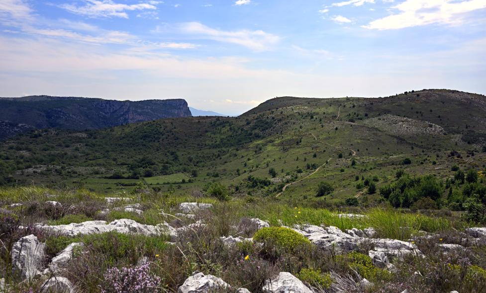 Agrandir l'image, fenêtre modale