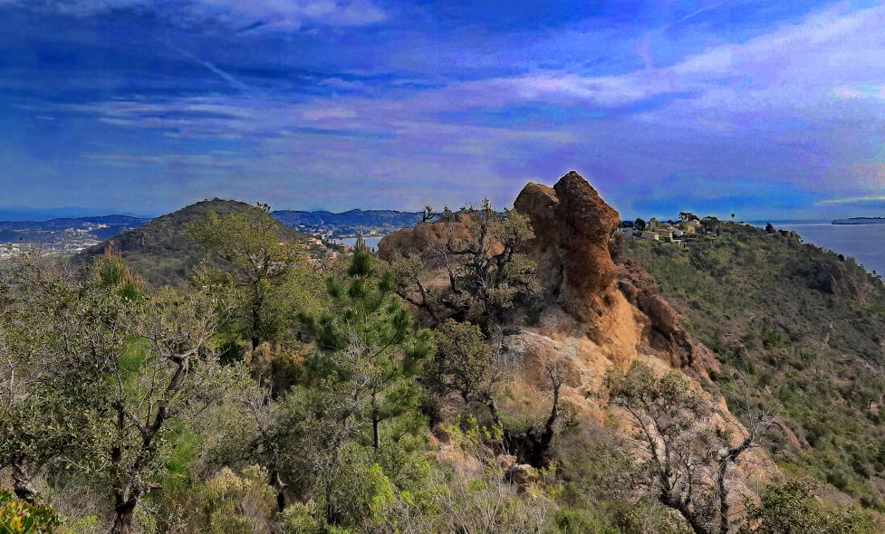 Agrandir l'image, fenêtre modale