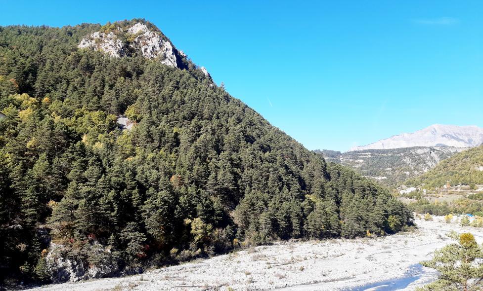 Agrandir l'image, fenêtre modale