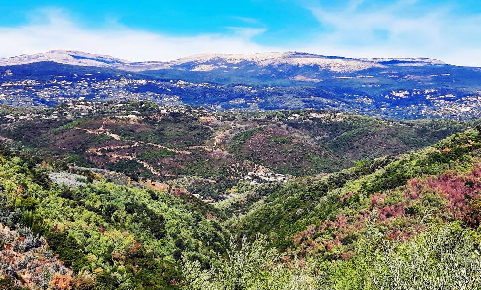 Agrandir l'image, fenêtre modale